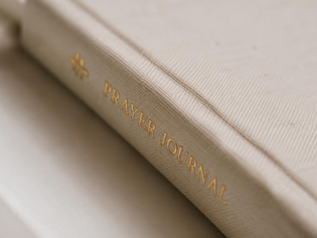Close-up of the journal's gold detailing
